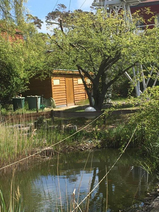 Fewo Schwalbennest Am Meer-Exklusiv-Eigener Strandzugang Ostseebad Kühlungsborn Exteriér fotografie
