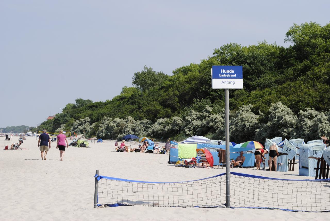 Fewo Schwalbennest Am Meer-Exklusiv-Eigener Strandzugang Ostseebad Kühlungsborn Exteriér fotografie